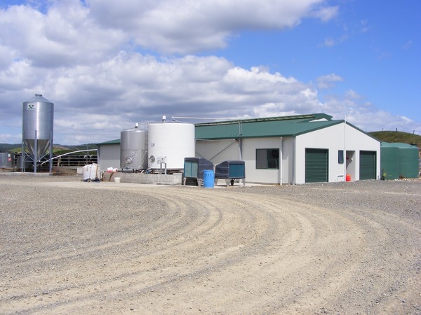 New milking shed - The latest generation of farming in New Zealand &#8211; 29 high tech 'designer' dairy farming blocks are up for sale by Carter Holt Harvey. 